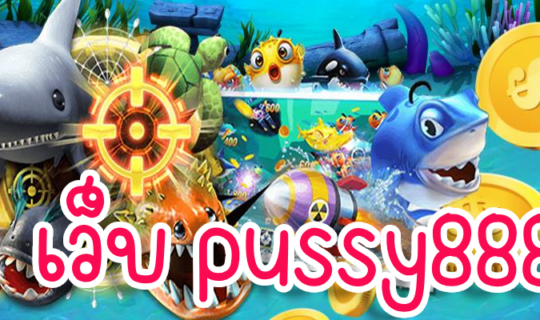 เว็บ pussy888